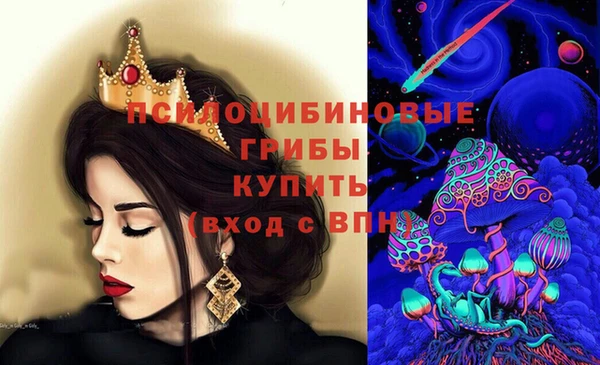 spice Пересвет