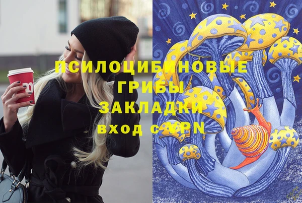 ПСИЛОЦИБИНОВЫЕ ГРИБЫ Аркадак